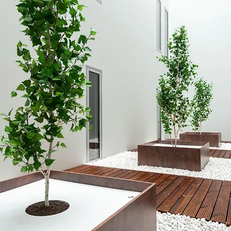 Citybox Center 3*