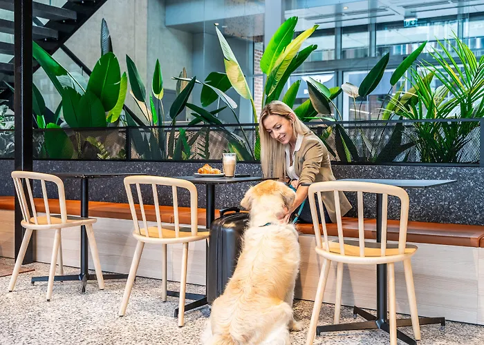 מלון Citybox Center